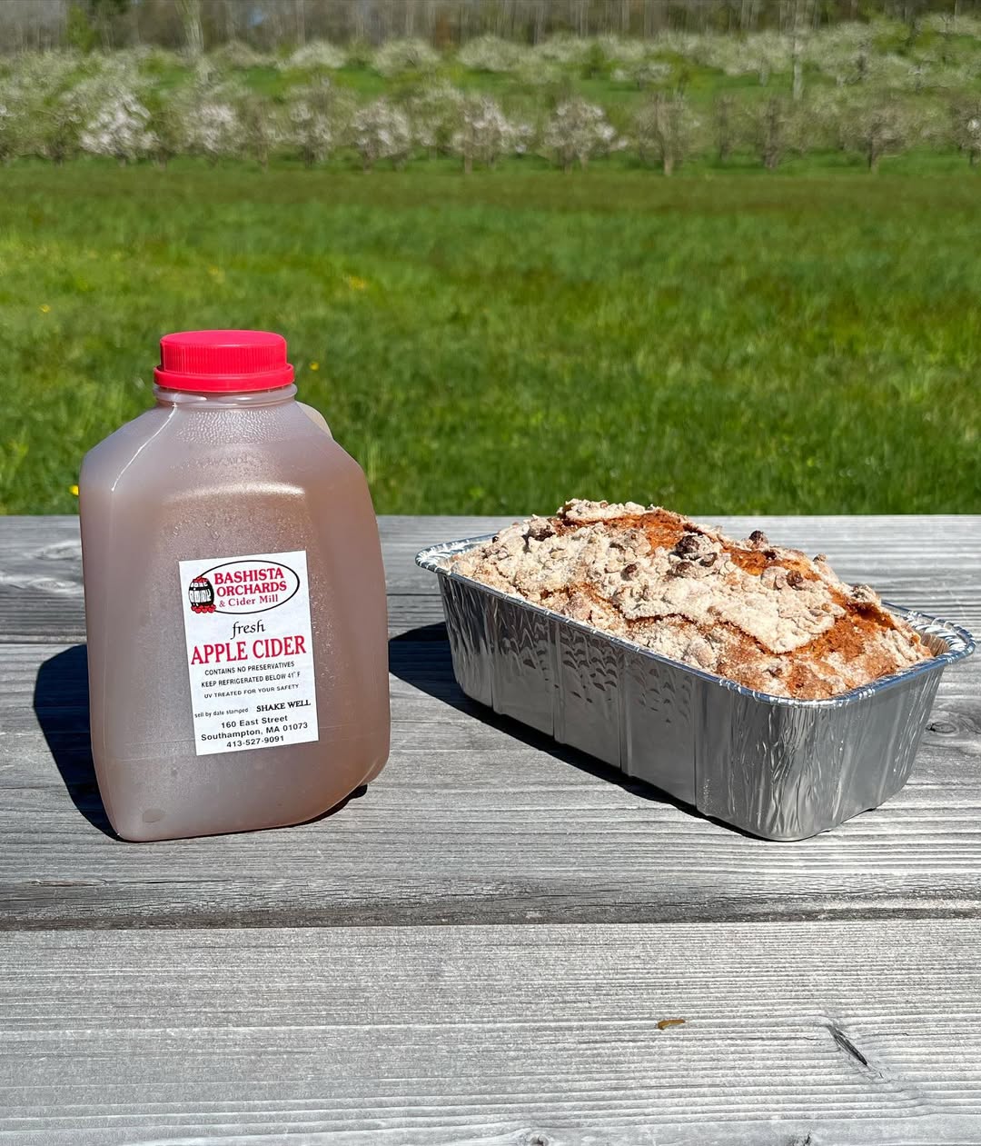 Apple cake served with fresh Bashista Orchards cider.